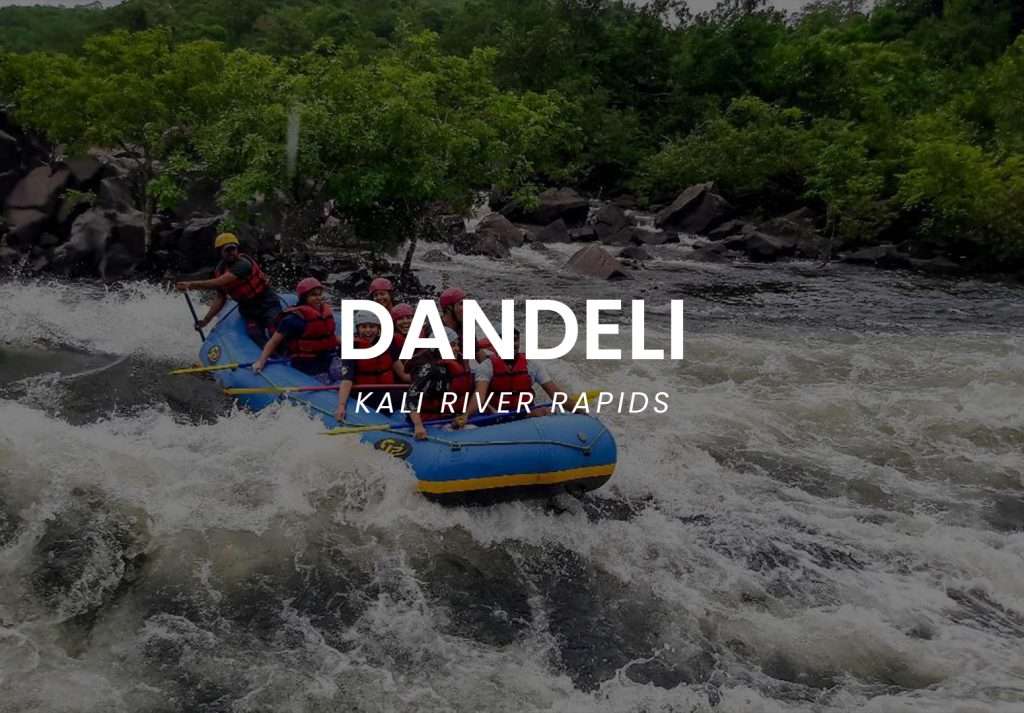 DANDELI