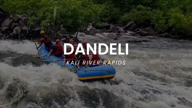 DANDELI