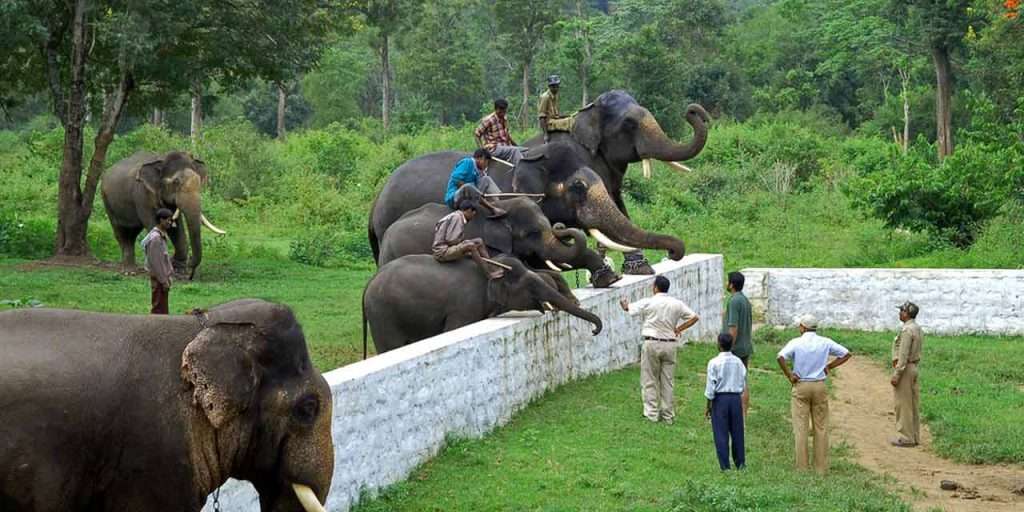 dubare-elephant-camp-coorg-entry-fee-timings-holidays-reviews-header