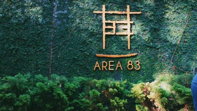 Area 83