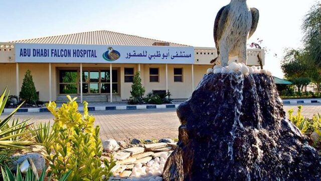 687232885Abu-Dhabi-Falcon-Hospital-1.jpg