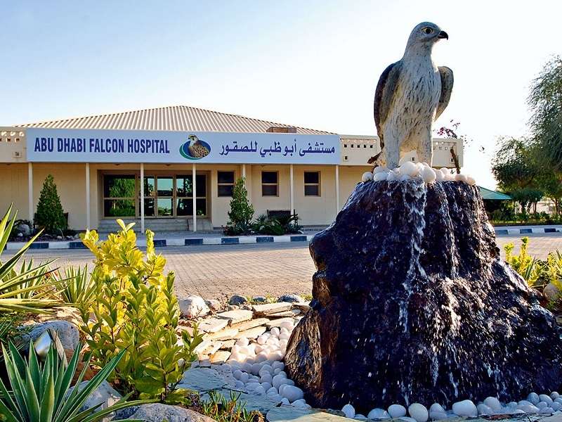 687232885Abu-Dhabi-Falcon-Hospital-1.jpg