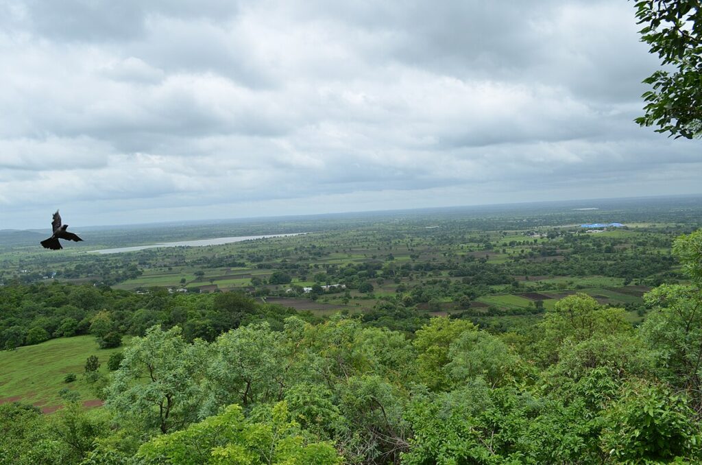 Ananthagiri-Hills-1.jpg