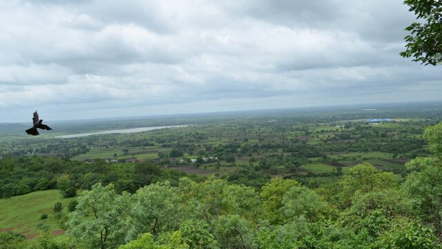 Ananthagiri-Hills-1.jpg