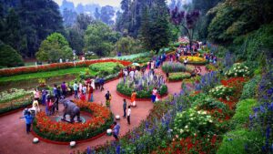 School Study Tours , Educational Tour Planners