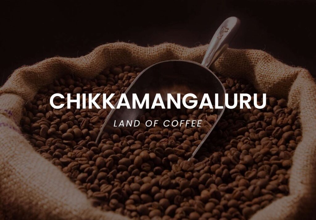 CHIKKA.jpg