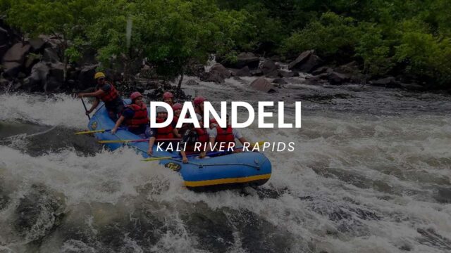 DANDELI.jpg