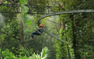 Student Tour Packages , School Learning Trips