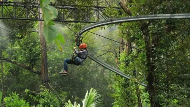 Eco-Adventure at Hanuman World Rainforest Zipline Park