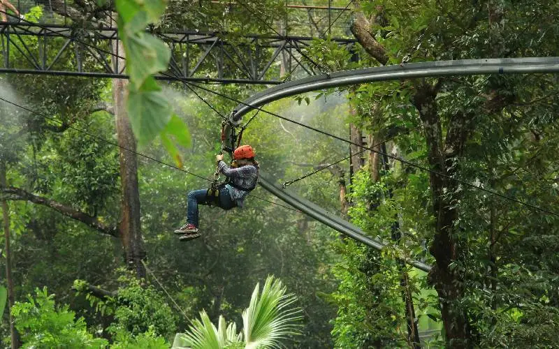 Eco-Adventure at Hanuman World Rainforest Zipline Park