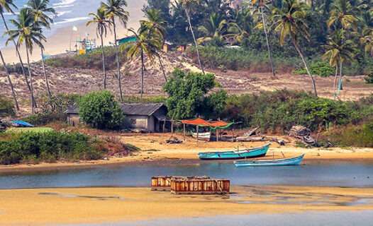 Tropical,Beach,In,Goa,On,A,Background,Of,Palm,Trees
