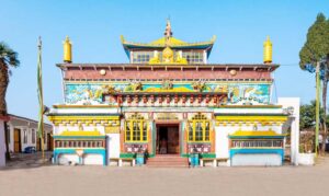 Educational Trips for Schools