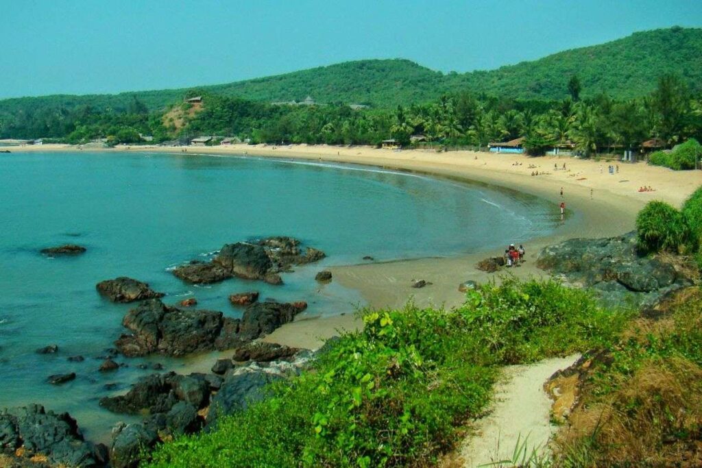 Half-Moon-Beach-1688713942927.jpg