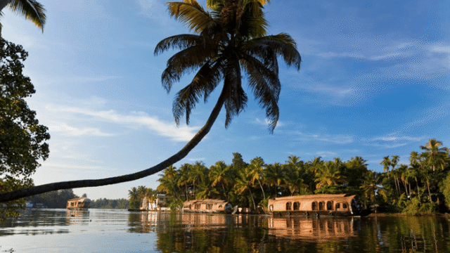 Kavvayi-Backwaters-Payyanur-.png