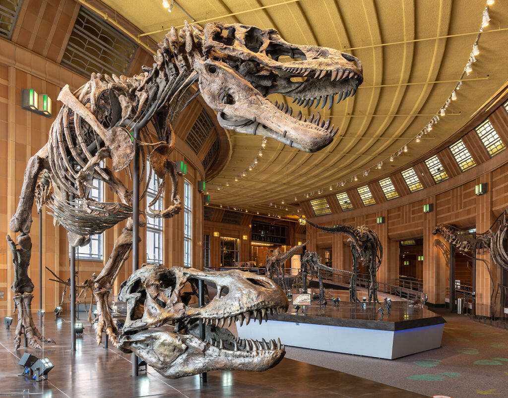 Landing-Page-Square-Dinosaur-Hall