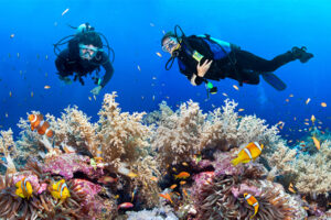 School Trips with Stay , Student Tour Packages