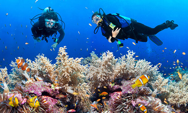Nemo Reef,