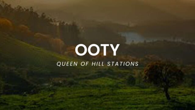 OOTY.jpg