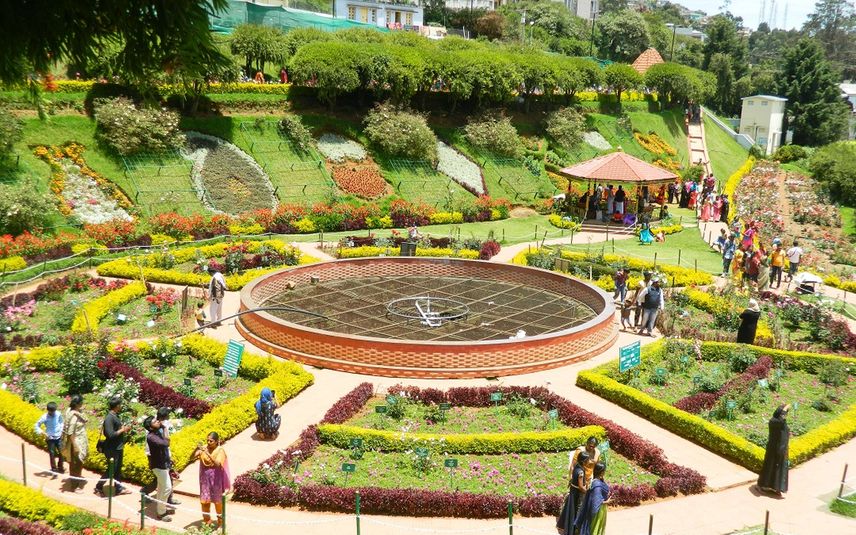 Ooty-Botanical-garden-1.jpg
