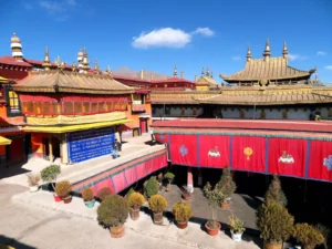 Student Educational Tours