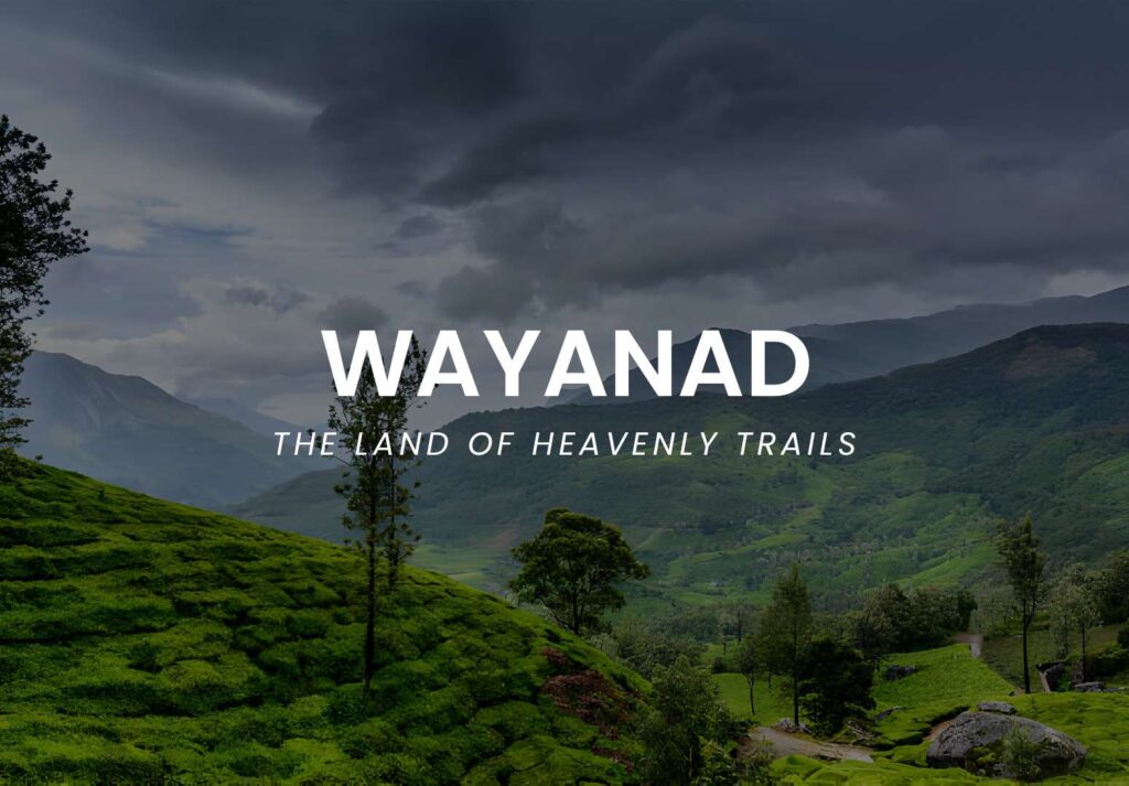 WAYANAD.jpg
