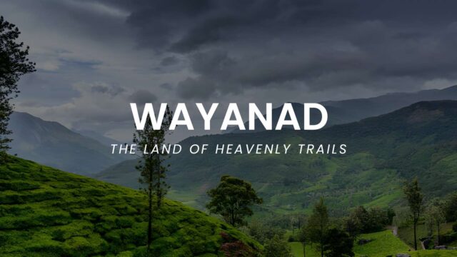 WAYANAD.jpg