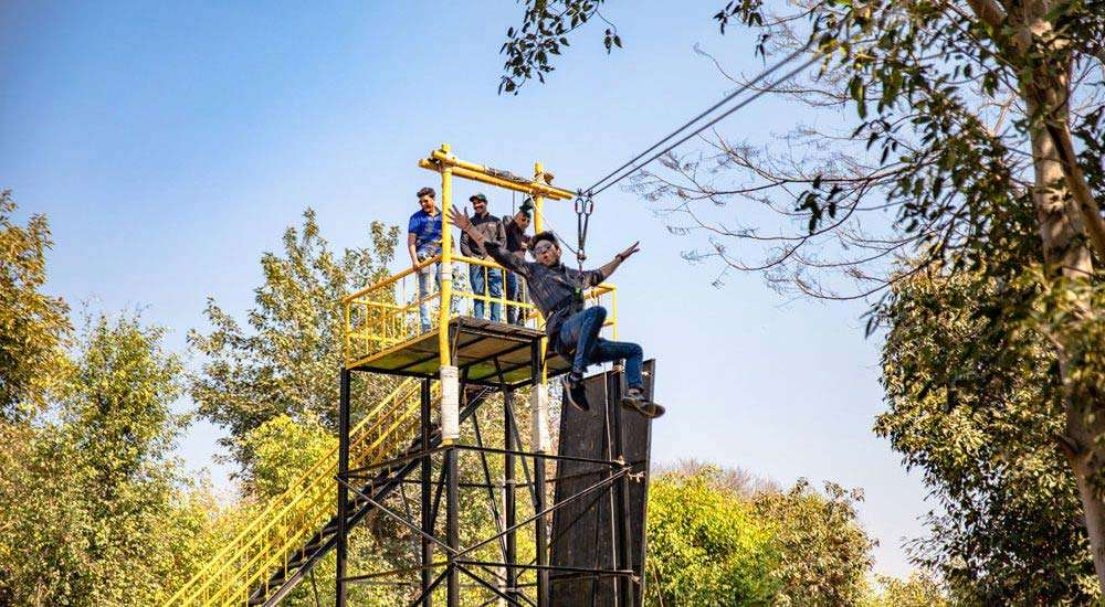 Zip-line-1000×550-1.jpg