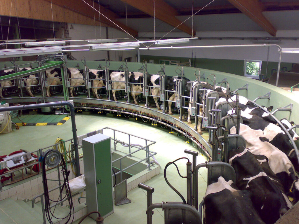 dairy farm -1
