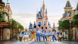 School Excursion Packages