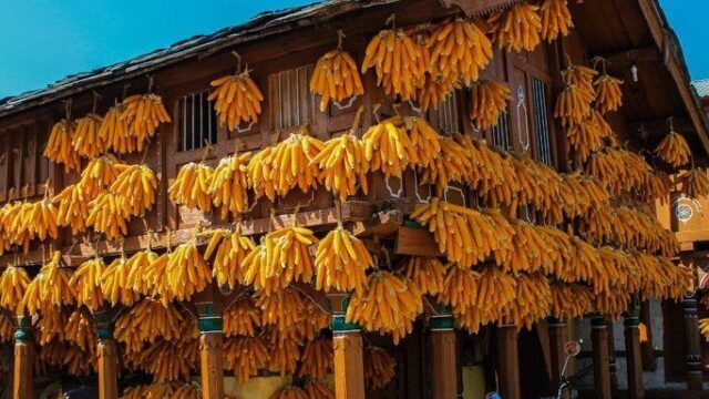 img_2909-001-1024×683-1-edited