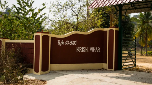 krishi-vihara-somanhalli-bangalore-organic-farms-bdujol7npt.webp