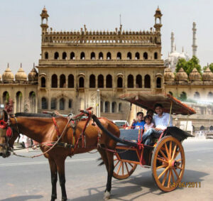 School Group Tours