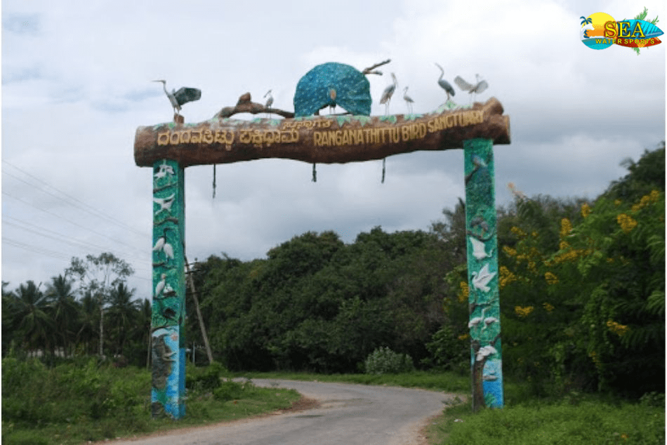 ranganathittu-bird-sanctuary.png