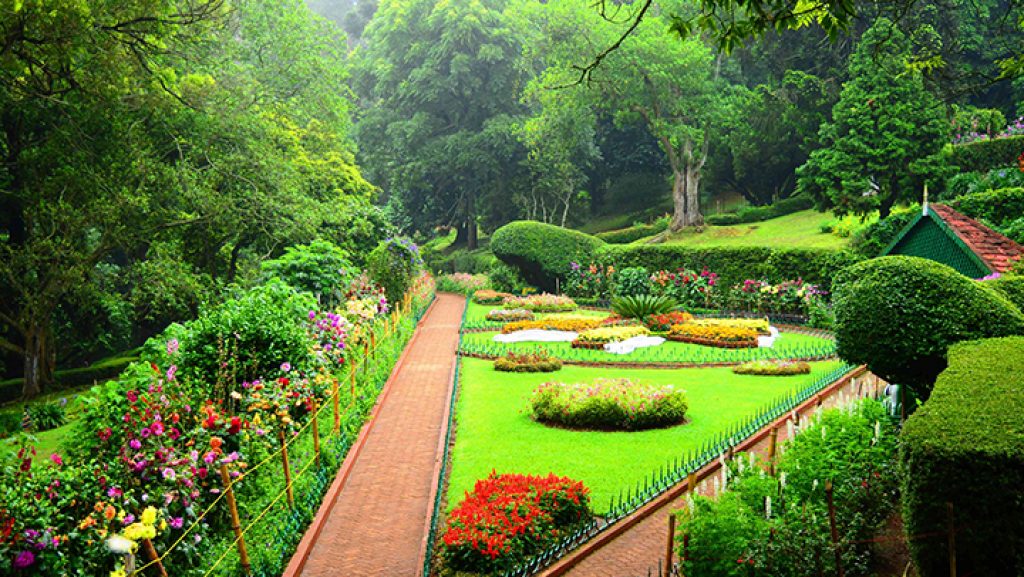 sims-park