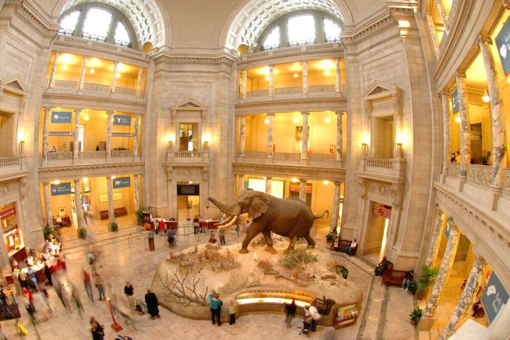 smithsonian-museum-natural-history.jpg