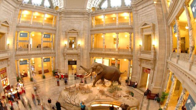 smithsonian-museum-natural-history.jpg