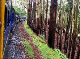 train-journey-to-Coonor.jpg
